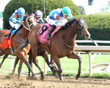 Trendsetter trainer content with avoiding the big races